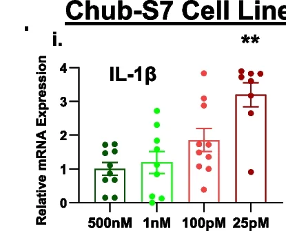 Open access visualization of Error Bars, Chub-S7 Cell Line, Primary Sc-Adipocytes, Inflammation, IL-1