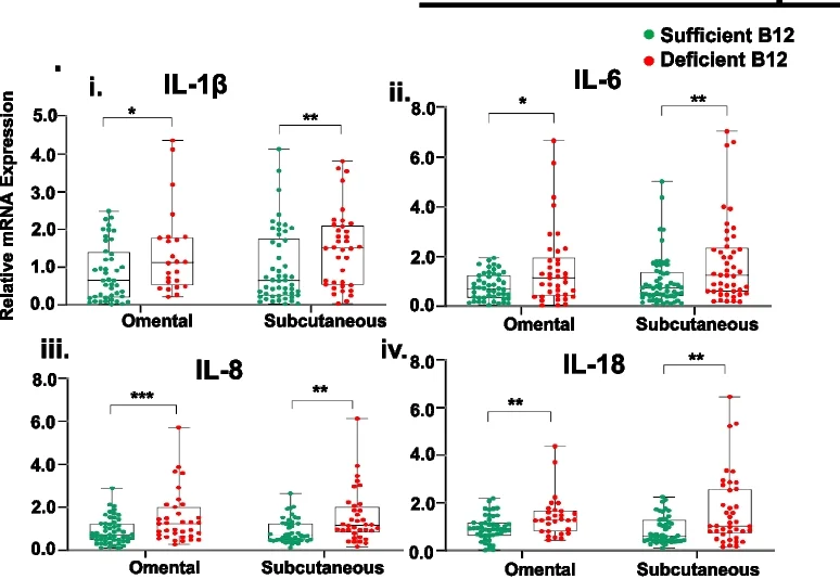 Open access visualization of Box Plot, Scatter Plot, Genes, Inflammation, IL-1β