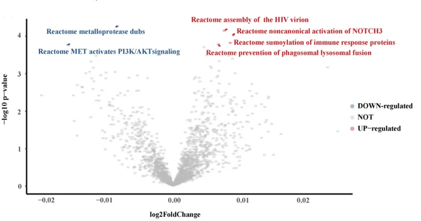 Open access visualization of Volcano Plot, Scatter Plot, Transcriptomic Levels, EOCRC, LOCRC