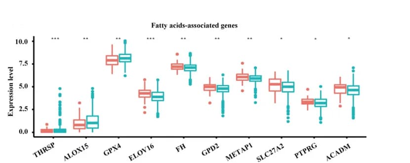 Open access visualization of Box Plot, Gene Quantification, Fatty Acids Pathway, TCGA Cohort, Boxplot