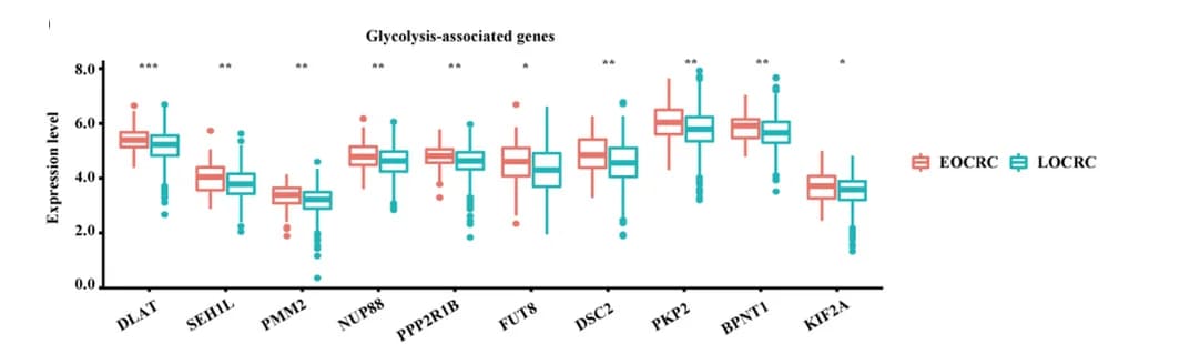Open access visualization of Box Plot, Gene Quantification, Glycolytic Pathway, TCGA Cohort, Boxplot