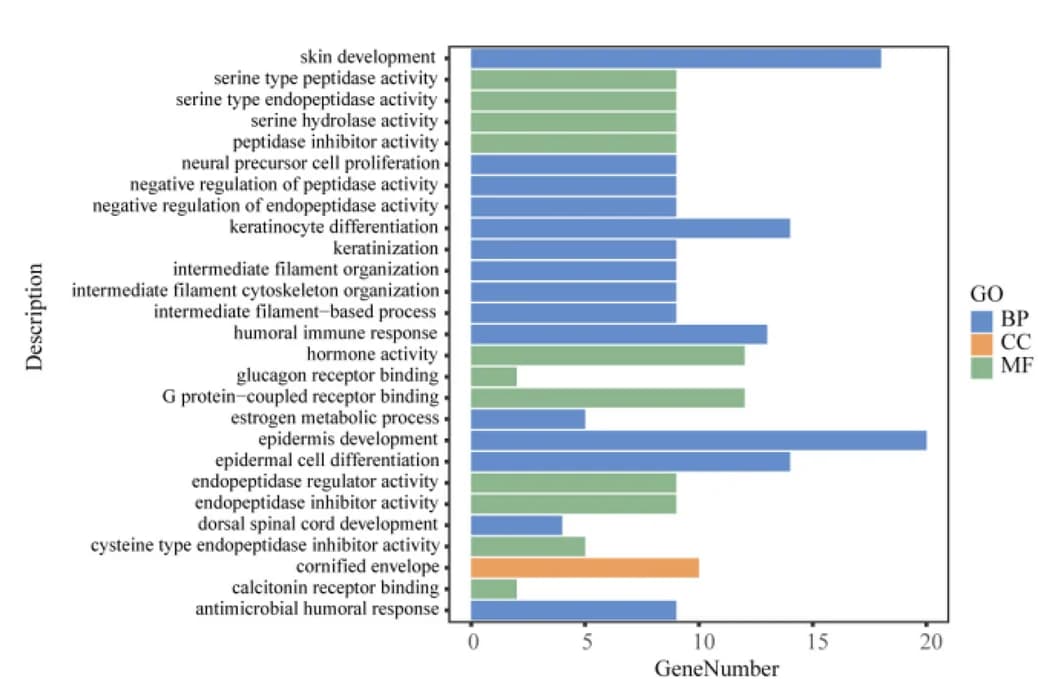 Open access visualization of Bar Plot, Gene Ontology, Enrichment Analysis, Differential Expression Genes