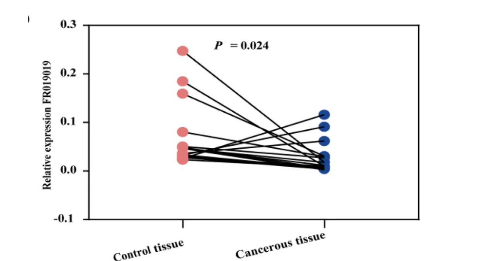 Open access visualization of Scatter Plot, qRT-PCR, FR019019, Cancerous Tissues, Control Tissues