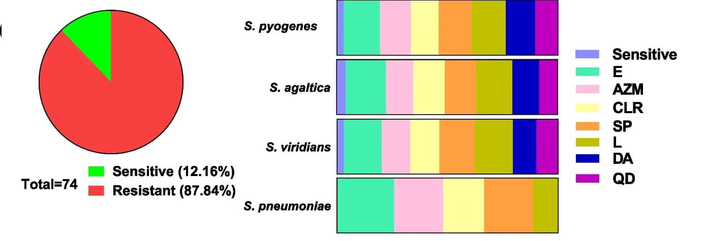 Open access visualization of Pie Chart, Stacked Bar Plot, Resistant Isolates, Sensitive Isolates