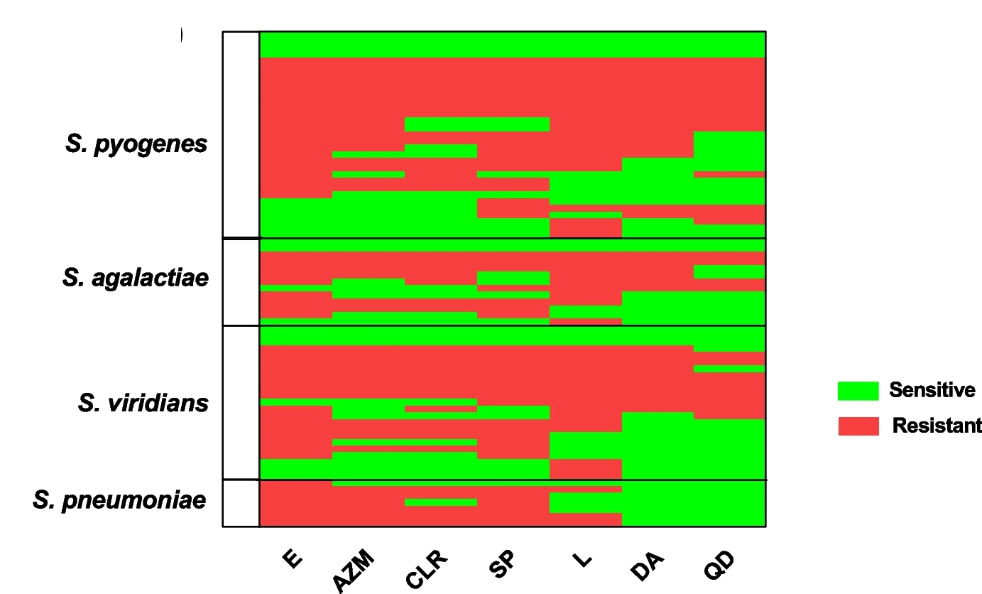Open access visualization of Heatmap, Heat Map, Resistance Patterns, Erythromycin, Clarithromycin