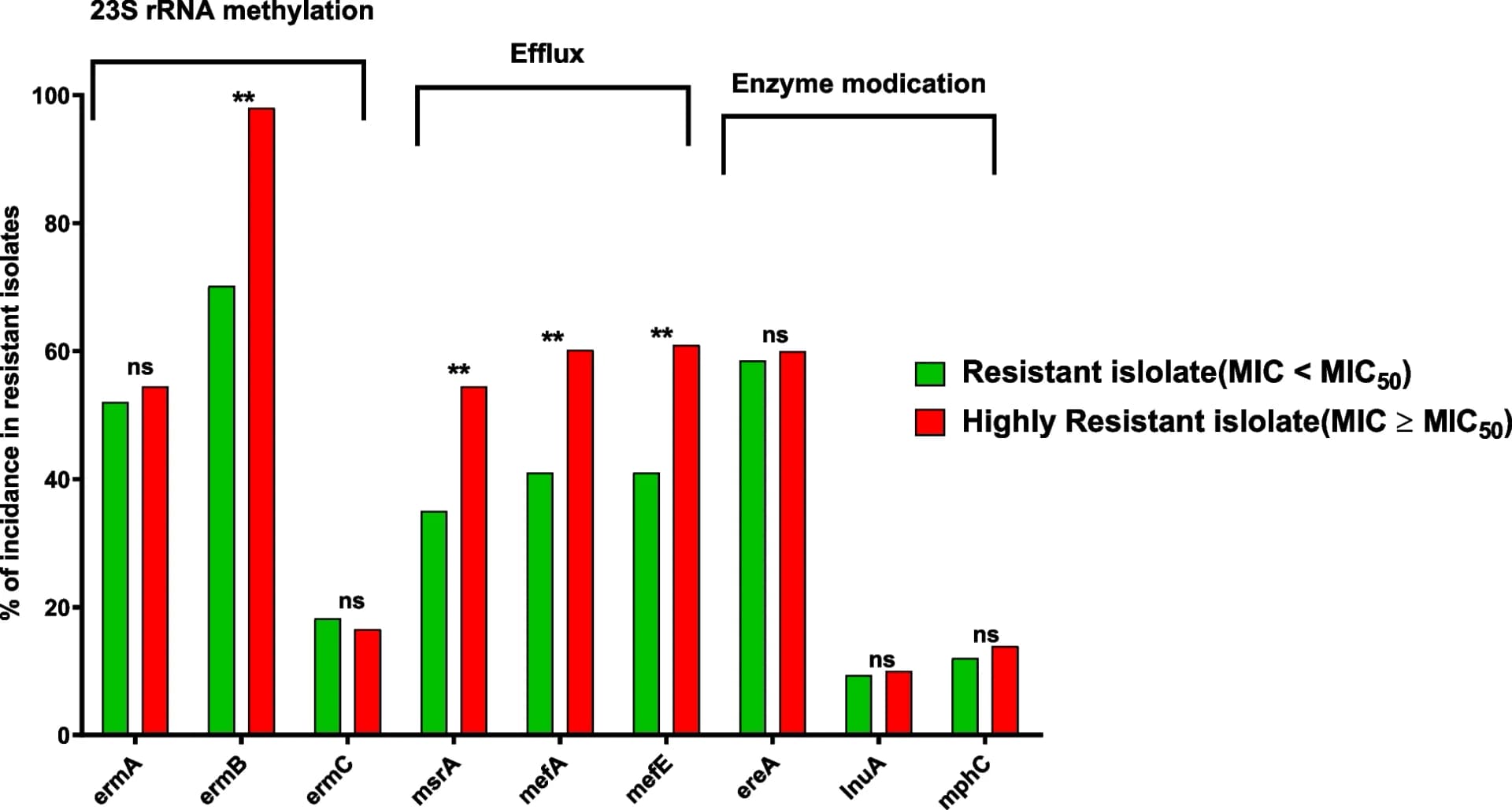 Open access visualization of Clustered, Bar Plot, MLS Genes, Antibiotic Resistance, Efflux Pumps