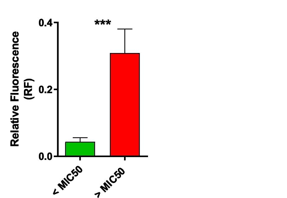 Open access visualization of Bar Plot, Error Bars, EtBr Efflux, EtBr Agar Cartwheel Method, Isolates