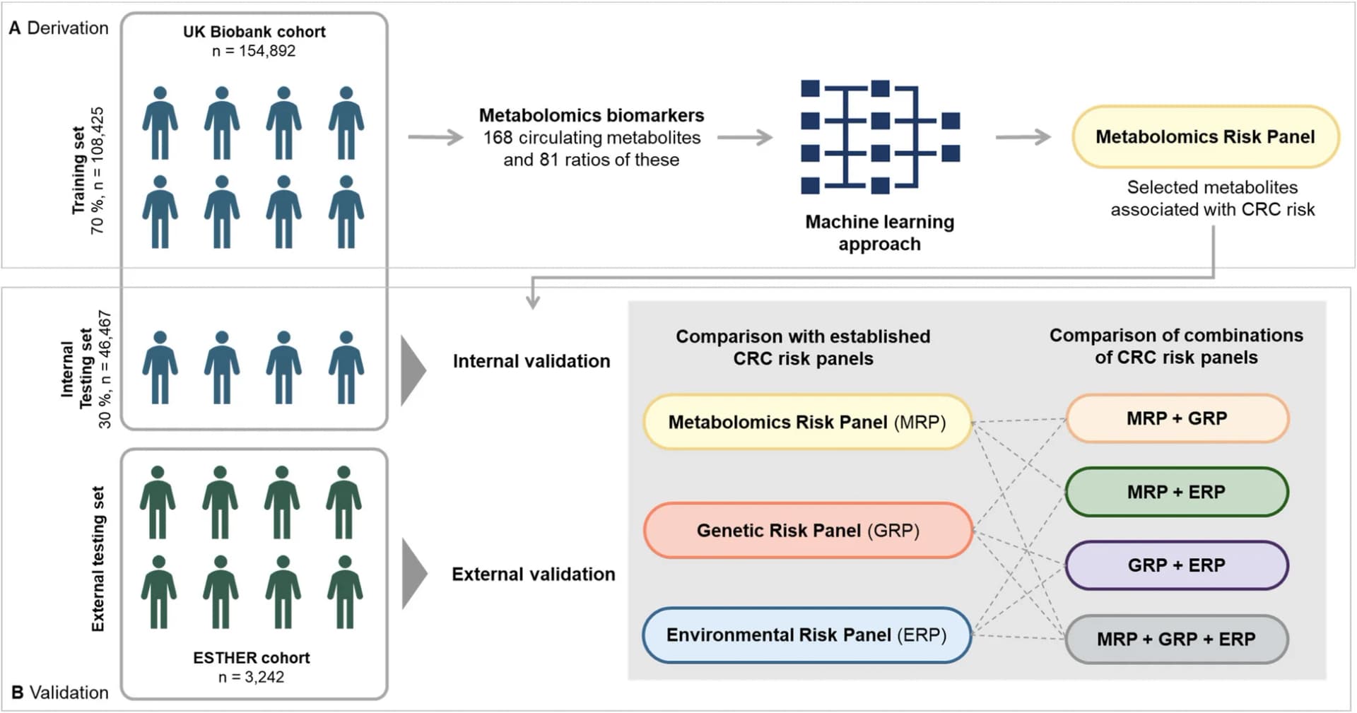 Open access visualization of Workflow, Flowchart, Metabolomics Risk Panel, UK Biobank, LASSO Cox Regression
