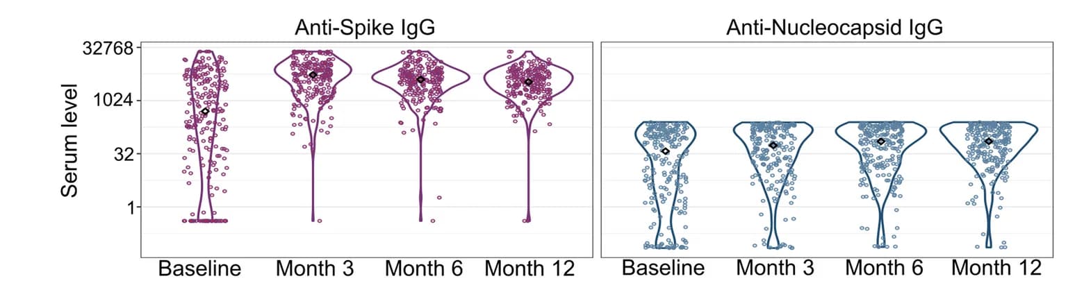 Open access visualization of Violin Plot, Scatter Plot, Plasma Samples, Anti-Spike Levels, Anti-Nucleocapsid Levels