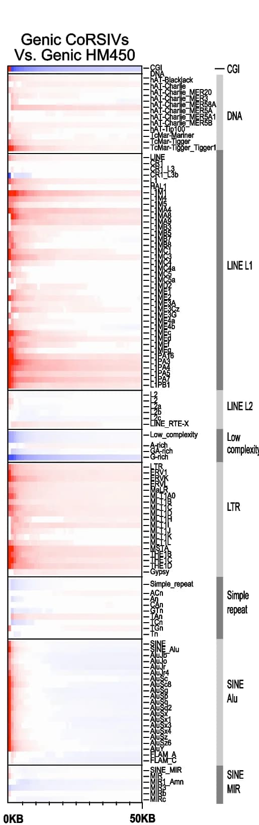 Open access visualization of Heatmap, HM450 probes, CoRSIVs, LINE1, LTR retrotransposons