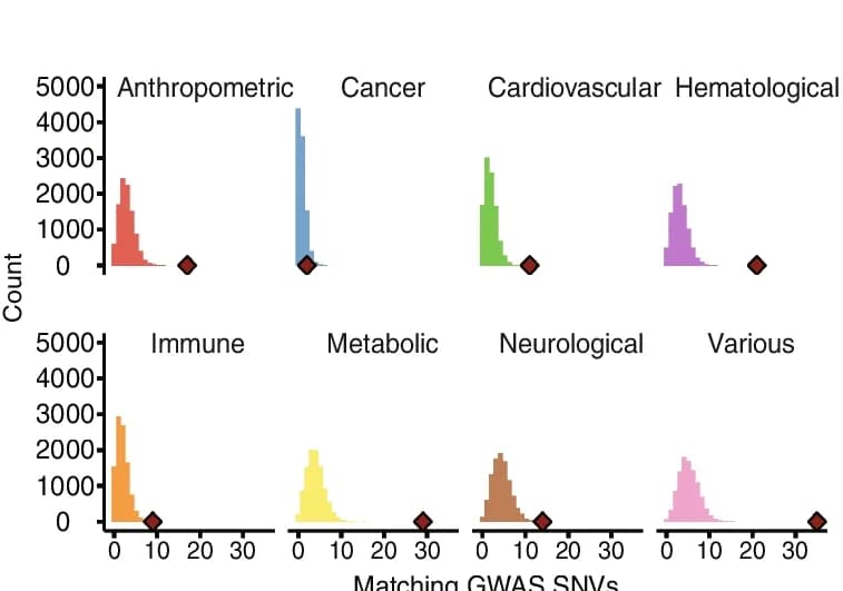 Open access visualization of Histogram, Scatter Plot, Disease, Phenotype, GWAS SNVs