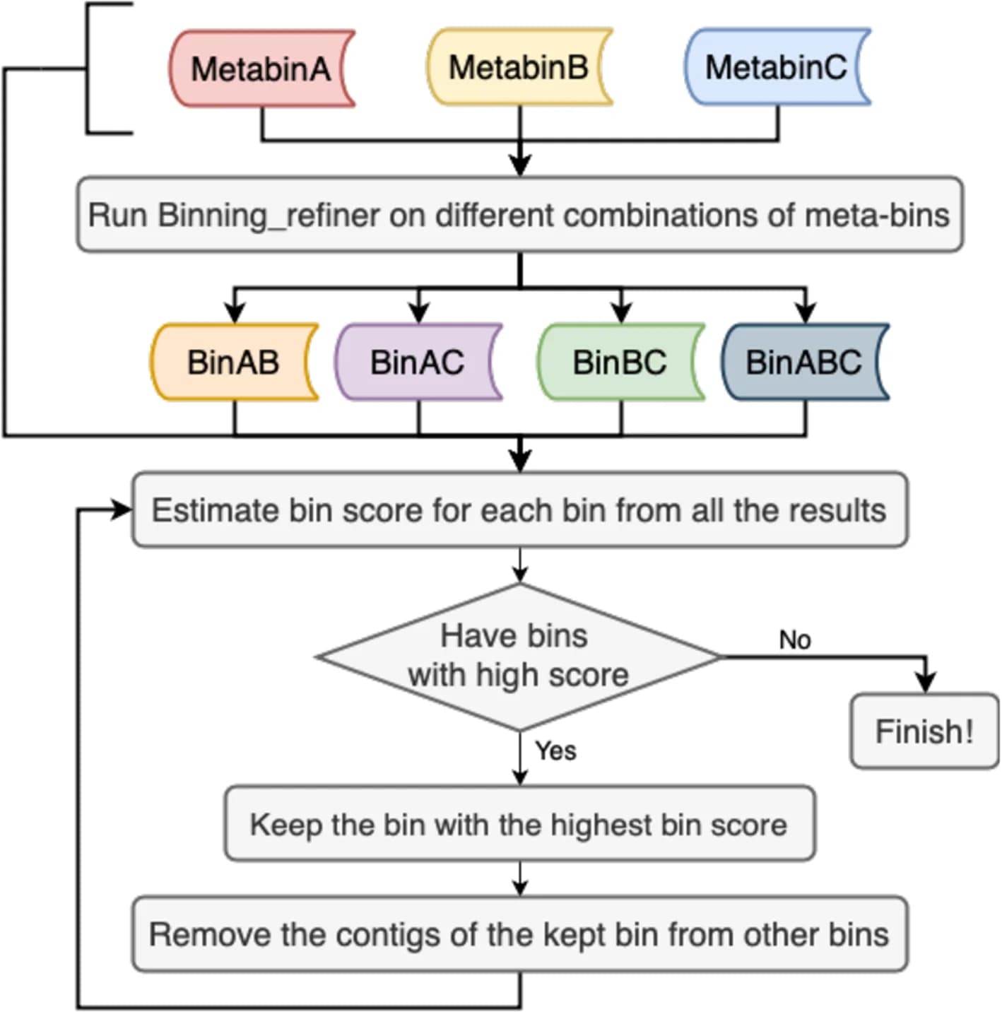 Open access visualization of Workflow, Flowchart, Illustration, Ensemble Strategy, Binning
