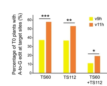 Open access visualization of Bar Plot, Clustered, T0 Wheat Plants, Mutation, Subgenome