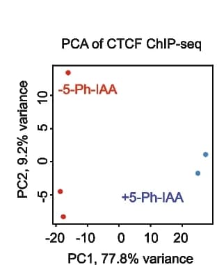 Open access visualization of Scatter Plot, PCA, Principal Component Analysis, CTCF ChIP-seq, CTCF AID2 Cells