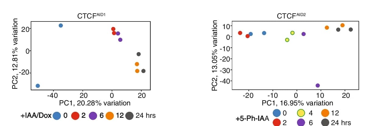 Open access visualization of Scatter Plot, PCA, Nascent Transcripts, Gene Expression, Auxin Treatment