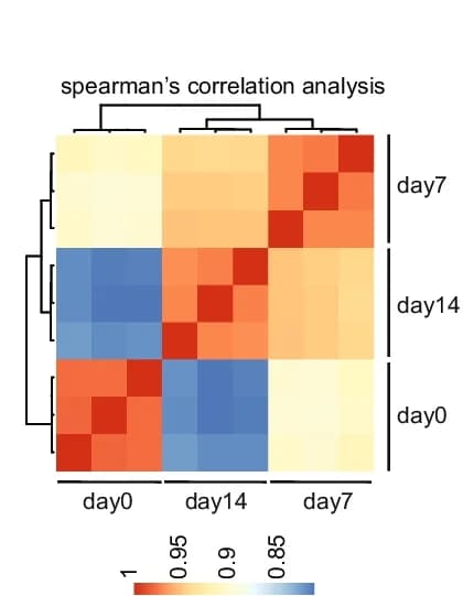 Open access visualization of Heatmap, Clustered, Heat Map, Spearman Correlation Coefficient, sgRNA