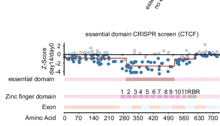 Open access visualization of Scatter Plot, Line Step, Z-score Plot, CTCF Domain, sgRNA
