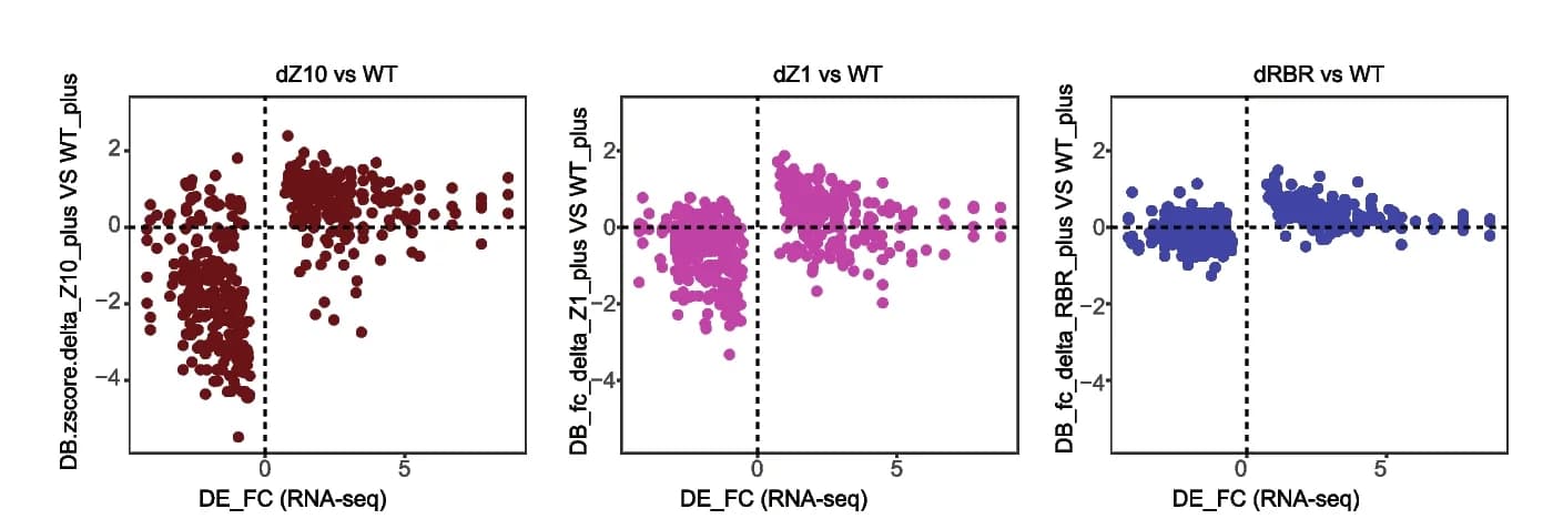 Open access visualization of Scatter Plot, Volcano Plot, Gene expression, Pareto optimization, CTCF