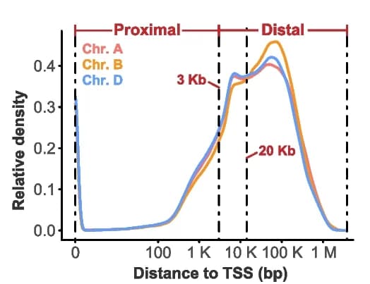 Open access visualization of Line Plot, Density Plot, Chromatin Accessibility, ATAC-seq, Embryogenesis