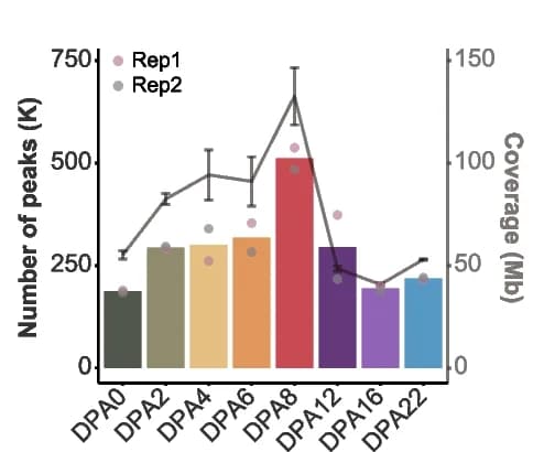 Open access visualization of Bar Plot, Error Bars, Line Plot, Scatter Plot, Chromatin Accessibility
