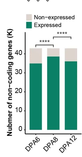 Open access visualization of Stacked Bar Plot, Non-coding RNA, DPA6, DPA12, Fisher Exact Test