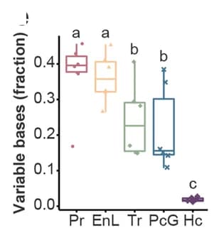 Open access visualization of Box Plot, Chromatin States, Embryonic Stages, Fisher's Least Significant Difference, Significance Calling