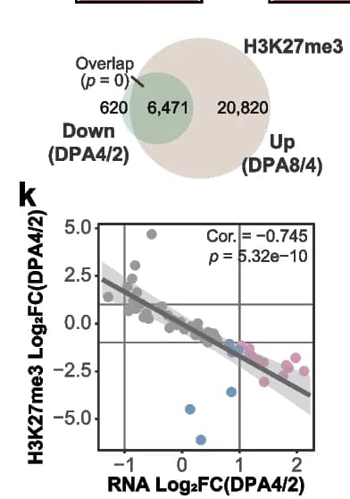 Open access visualization of Venn Diagram, Scatter Plot, Regression Plot, Genes, H3K27me3