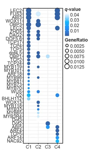 Open access visualization of Bubble Plot, GO Enrichment, Transcription Factors Enrichment, Gene Clusters