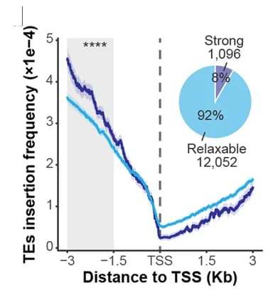 Open access visualization of Line Plot, Error Bars, Pie Chart, Negative Selection Genes, Dysfunction Genes