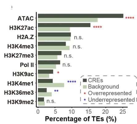 Open access visualization of Bar Plot, Clustered, Epigenetic Modification, TEs Insertion, Loci