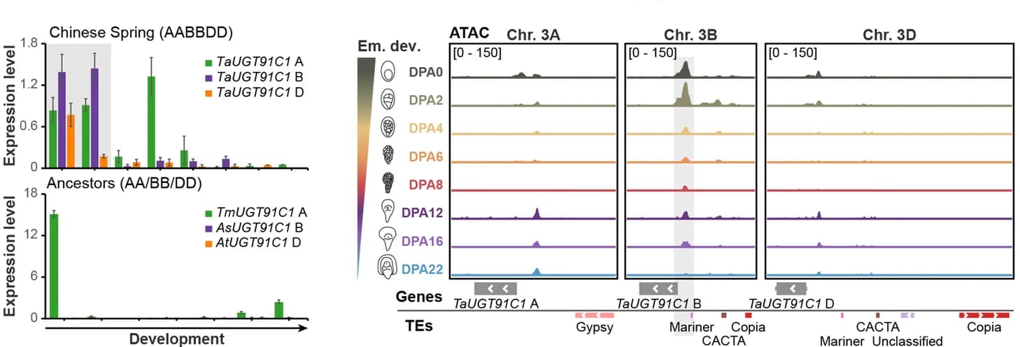 Open access visualization of Bar Plot, Error Bars, Line Plot, Gene Expression, Epigenetic Regulation