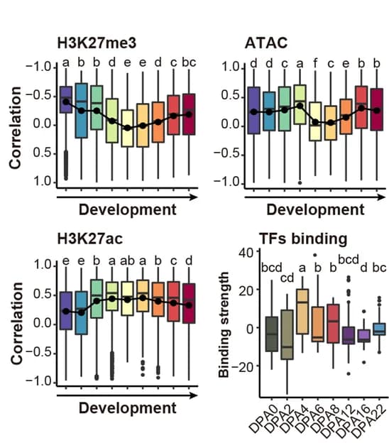Open access visualization of Box Plot, Line Plot, H3K27me3, Chromatin Accessibility, H3K27ac