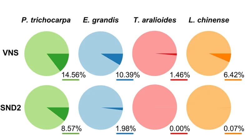 Open access visualization of Pie Chart, Pie Charts, Transcript Detection, VNS, SND2