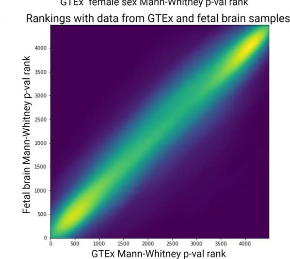 Open access visualization of Heatmap, Gene Rankings, GTEx, Fetal Cortex, Fetal Neurons