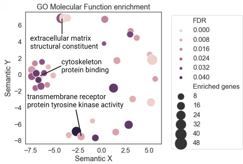 Open access visualization of Bubble Plot, Scatter Plot, GO molecular function, False discovery rate, REVIGO