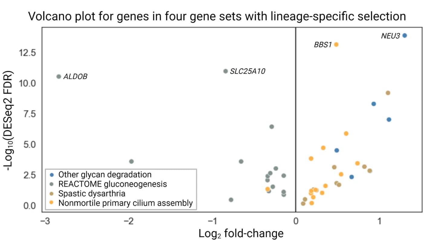 Open access visualization of Volcano Plot, Scatter Plot, Log Fold Change, Gene Enrichment, Spastic Dysarthria