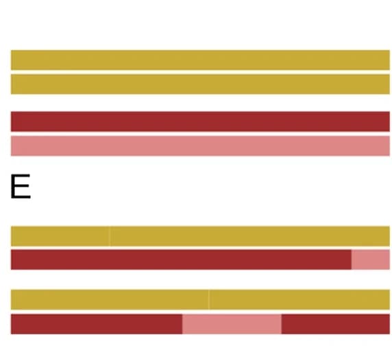 Open access visualization of Bar Plot, Stacked Bar Plot, Chromosomes, Parents, Homozygous