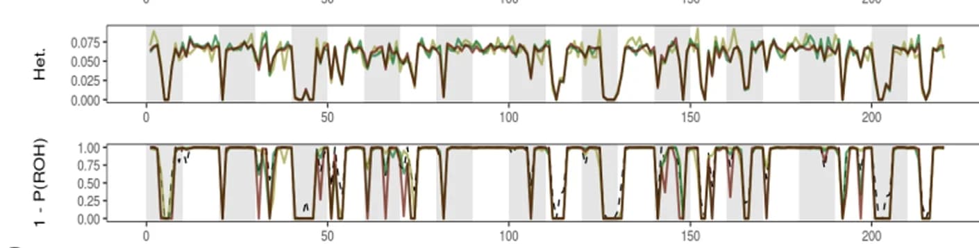 Open access visualization of Line Plot, Simulation, ROH