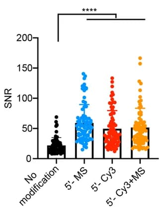 Open access visualization of Scatter Plot, SNR Statistics, 48× GCN4, Chemically Modified gGCN4, dPspCas13b-EGFP