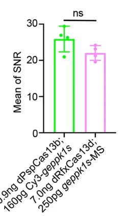 Open access visualization of Bar Plot, Error Bars, SNR Statistics, eppk1 Signals, Cy3-geppk1s