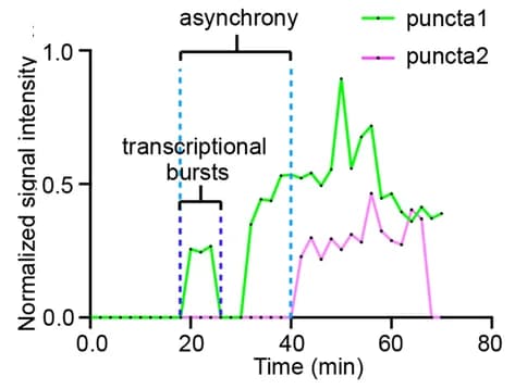 Open access visualization of Line Plot, De Novo Transcription, Allele Expression, Gene Expression, Zebrafish Embryos
