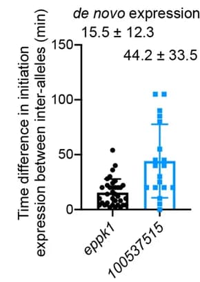 Open access visualization of Scatter Plot, Error Bars, De Novo Transcription, Allele Expression, Gene Expression