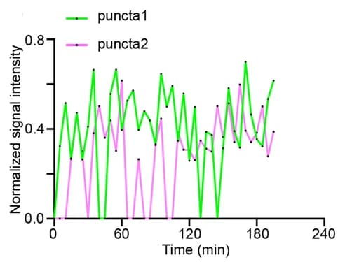 Open access visualization of Line Plot, Line Step, Inter-allelic eppk1, Transcription, Signal intensity