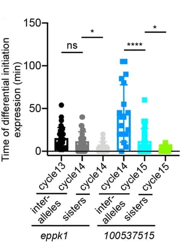 Open access visualization of Scatter Plot, Transcription, Inter-alleles, Sister cells, eppk1