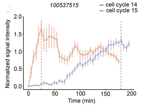 Open access visualization of Line Plot, Error Bars, Post-mitotic transcription, eppk1, 100537515