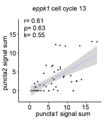 Open access visualization of Scatter Plot, Regression Plot, Transcription, Allelic eppk1, RNA output