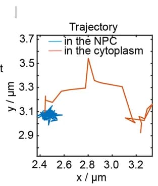 Open access visualization of Line Plot, Transport, Trajectory, Nuclear Envelope, Cytoplasm
