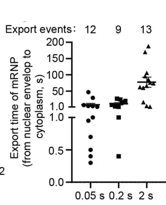 Open access visualization of Scatter Plot, mRNP, Export Time, Imaging, Cells
