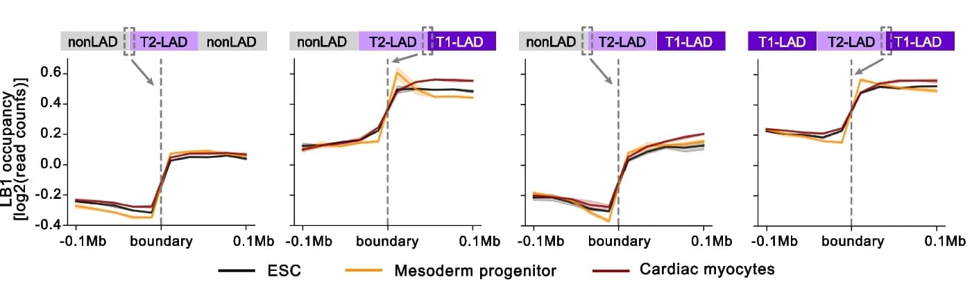 Open access visualization of Line Plot, Error Bars, LB1 Occupancy, T2-LAD Boundaries, NonLADs