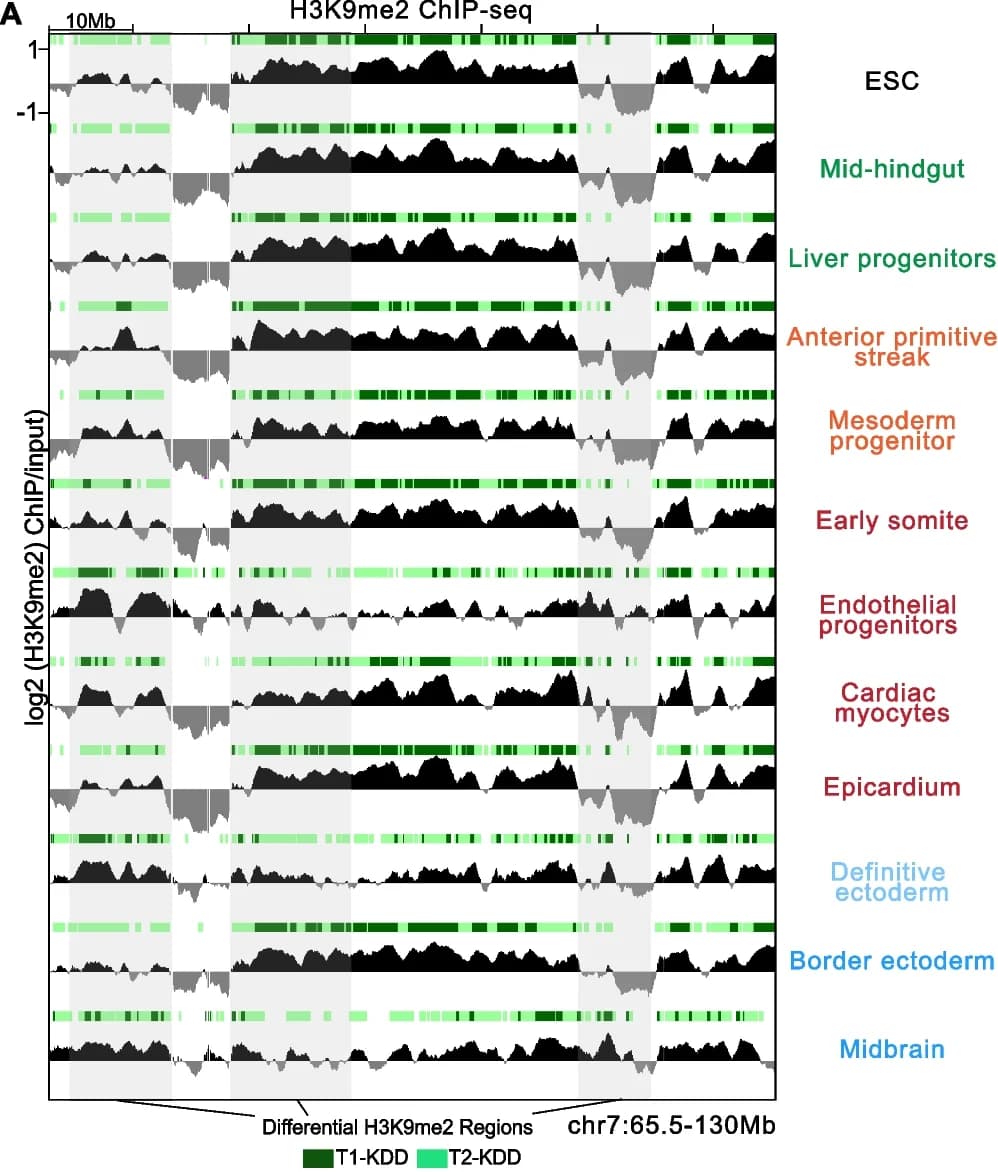 Open access visualization of Line Plot, LB1 Occupancy, KDD State, Cell Types, T1-KDDs